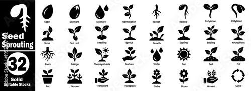 Seed sprouting icons set. Collection of seed, dormant, moisture, germination, rootlet, radicle, cotyledon, shoot, first leaf, seedling, sprout vector illustration.