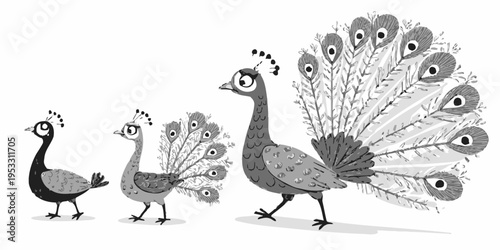 Peacocks vector illustration of four cute monochrome birds standing gracefully on a white background, presented in a clean design.