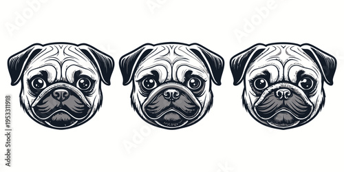Cute pug dog vector collection showcasing three distinct head portraits with various playful expressions and color variations on a clean background.
