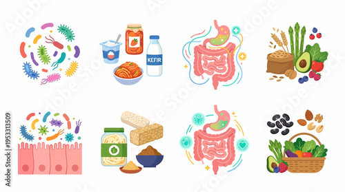 Gut Health & Microbiome: Bacteria, Probiotics, Healthy Foods
