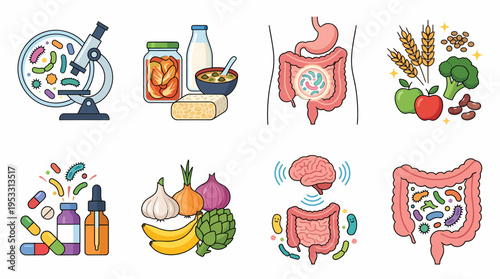 Gut Health and Microbiome Illustration