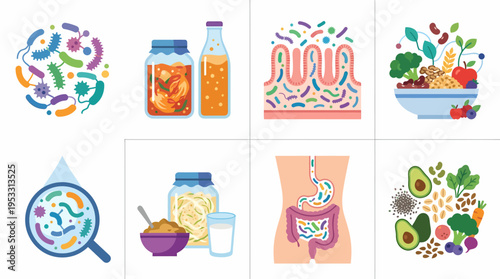 Gut Health: Microbiome, Fermented Foods, and Healthy Digestion