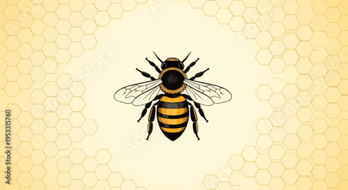 A large black and yellow bee.