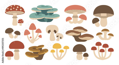 A vibrant and diverse collection of stylized mushroom illustrations, showcasing various fungi types in a whimsical cartoon flat design perfect for nature and botanical themed projects