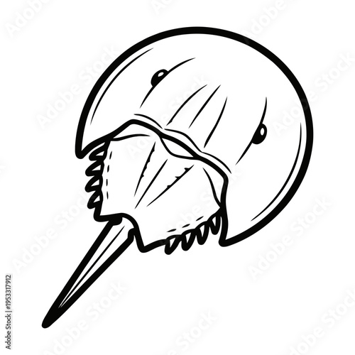 Horseshoe crab with sharp tail and claws in profile view