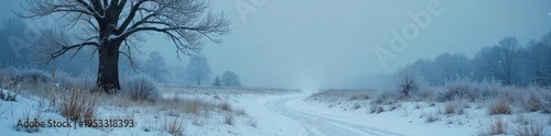 A chilling winter scene, frost clinging to bare branches, a desolate landscape under a grey, ominous sky The air feels intensely cold and foreboding , cold, mysterious