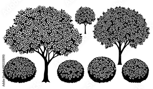 Malus tree and flowering crabapple silhouettes set spring bloom ornamental shrub vector collection