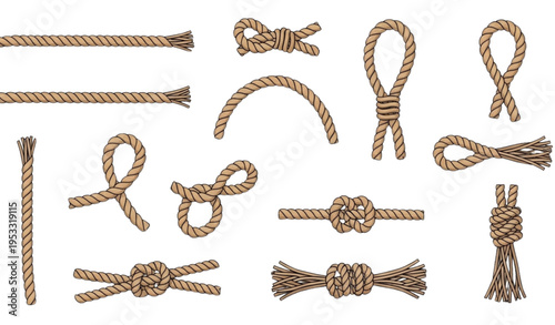 A collection of various rope knots and ties in a vector graphic