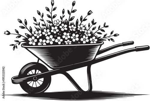 Black wheelbarrow filled with white flowers and leaves