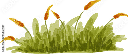 Watercolor Cattails and Green Grass on Black Background