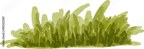 Green Grass Abstract Background