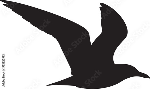 Black silhouette of a bird in flight flying wings spread