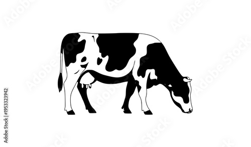 Black and white spotted cow grazing vector illustration isolated farm animal livestock design