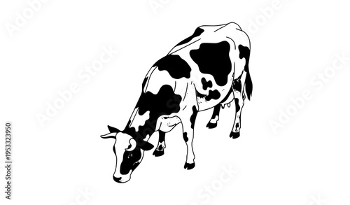 Modern geometric black and white cow grazing top view vector illustration farm animal design