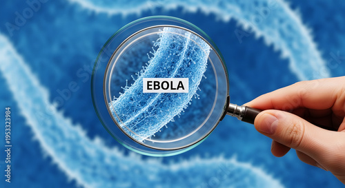 Magnified Ebola virus particle with label viewed through magnifying glass microscopic
