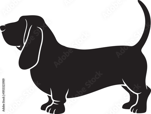 Vector black silhouette of a standing basset hound dog isolated on a white background.
