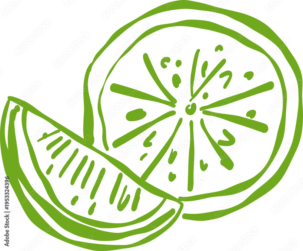Obraz premium Fresh Green Lime Slice and Wedge Hand Drawn Style