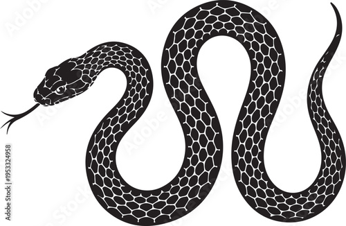 Vector elongated snake silhouette illustration. Black serpent isolated tattoo design.