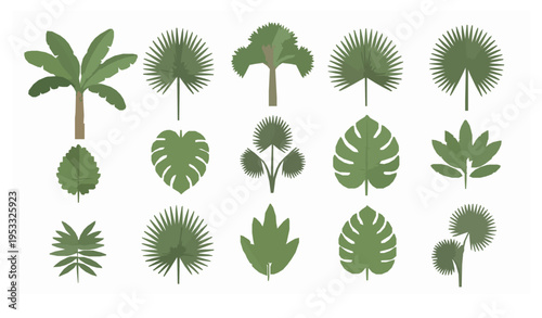 Green tropical foliage vector set banana trees palm leaves jungle collection
