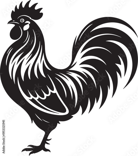 Vector illustration of rooster