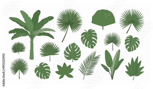 Tropical jungle plants and leaves collection green botanical vector illustration