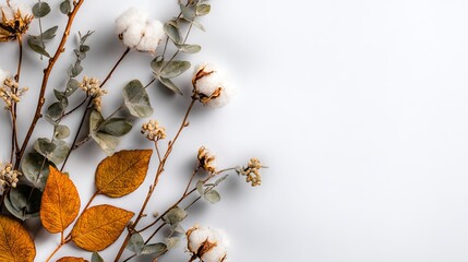 Autumn composition frame with eucalyptus branches, cotton flowers and dried leaves, flat lay top view on white background, seasonal fall copy space template