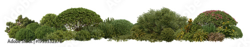 3d render small garden with plants and shrubs on transparent background.	
