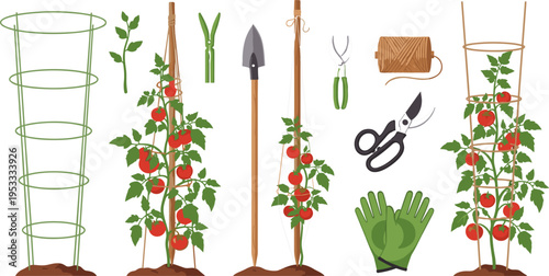 Gardening Support Kit Icon Set Featuring Tomato Plants, Sticks, Stakes, Gloves, and Gardening Tools