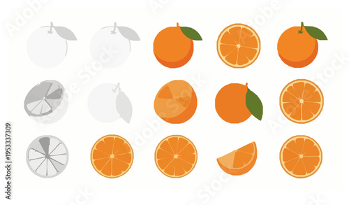 Orange fruit collection vector slices segments and whole citrus illustration set