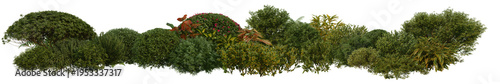 3D render of flowering shrubs on a transparent background