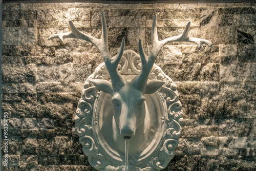 deer skull on a wall
