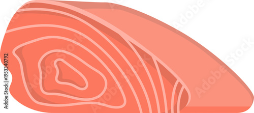 Fresh Salmon Fillet Vector Illustration. World tuna day vector isolated