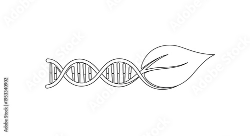 A simple black outline illustration depicts a DNA double helix strand gracefully intertwined with a single stylized green leaf against a pure white background.