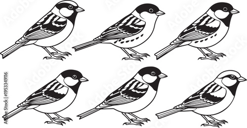 Set of 6 bird icons vector, black and white isolated on Transparent Background