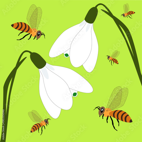 Bees flying around white snowdrop flowers on green background