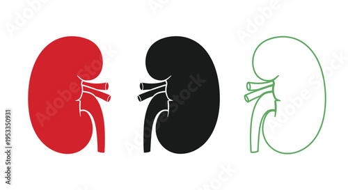 Three human kidneys in red black and green a striking silhouette