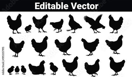 Chicken and chicks silhouettes: farm animals vector pack