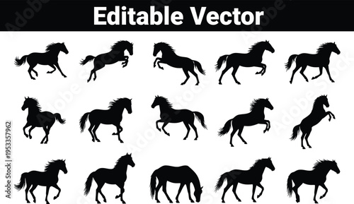 Horse silhouettes: multiple poses, vector graphics