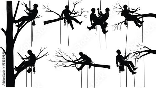 Silhouette illustrations of arborists performing tree maintenance with ropes, harnesses, and helmets showcasing professional climbing, pruning, forestry work, and outdoor safety equipment