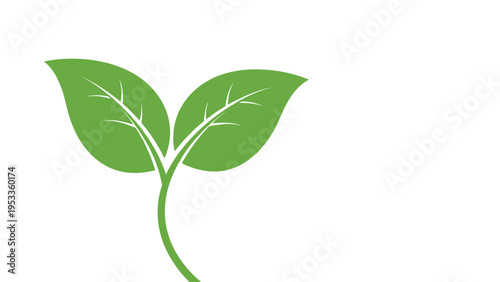 Simple green plant sprout with two fresh leaves growing from a stem against a white background representing nature and environment.