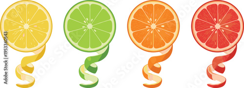 Vector illustration of citrus fruit slices with spiral peels including lemon, lime, orange, and grapefruit
