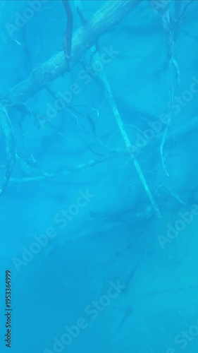 Abstract underwater nature texture of submerged branches in fresh mountain water.
