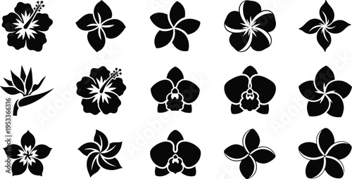 Black and white floral flowers silhouettes 6