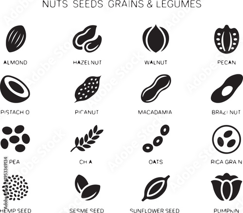 Nuts seeds grains and legumes icons collection healthy food organic products set vegan nutrition assortment