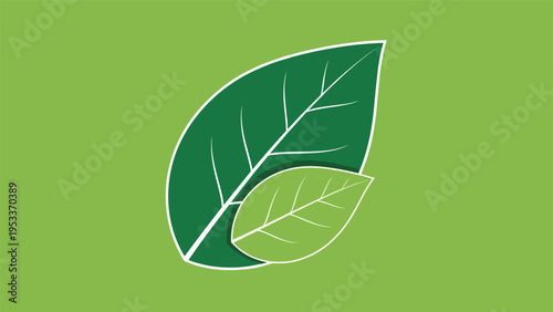 Stylized illustration of two overlapping green leaves on a solid background symbolizing nature and environmental care.