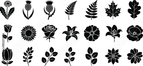 Black floral with leaves on white background flowers thistle