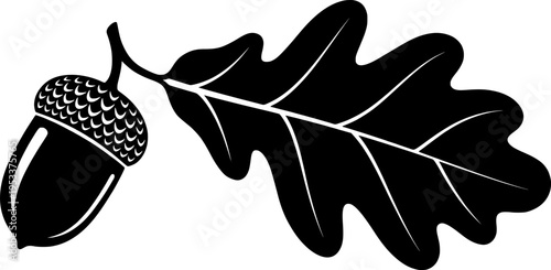Detailed black and white acorn with oak leaf illustration. Vector illustration
