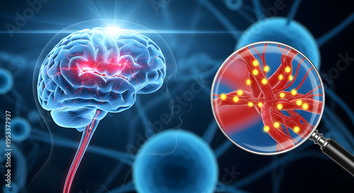 Human brain with highlighted active areas and a magnifying glass examining detailed neural connections