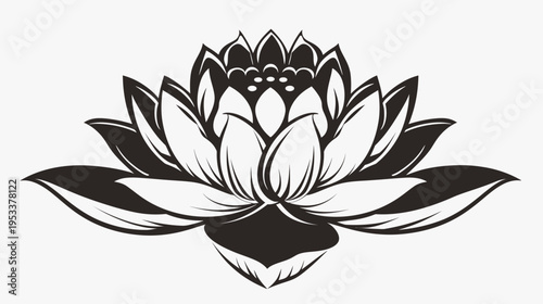 Elegant black and white lotus flower illustration for graphic design