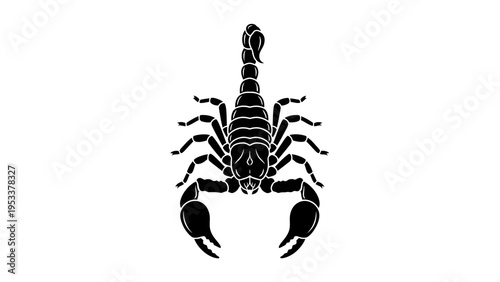 Black scorpion silhouette on white background isolated for design